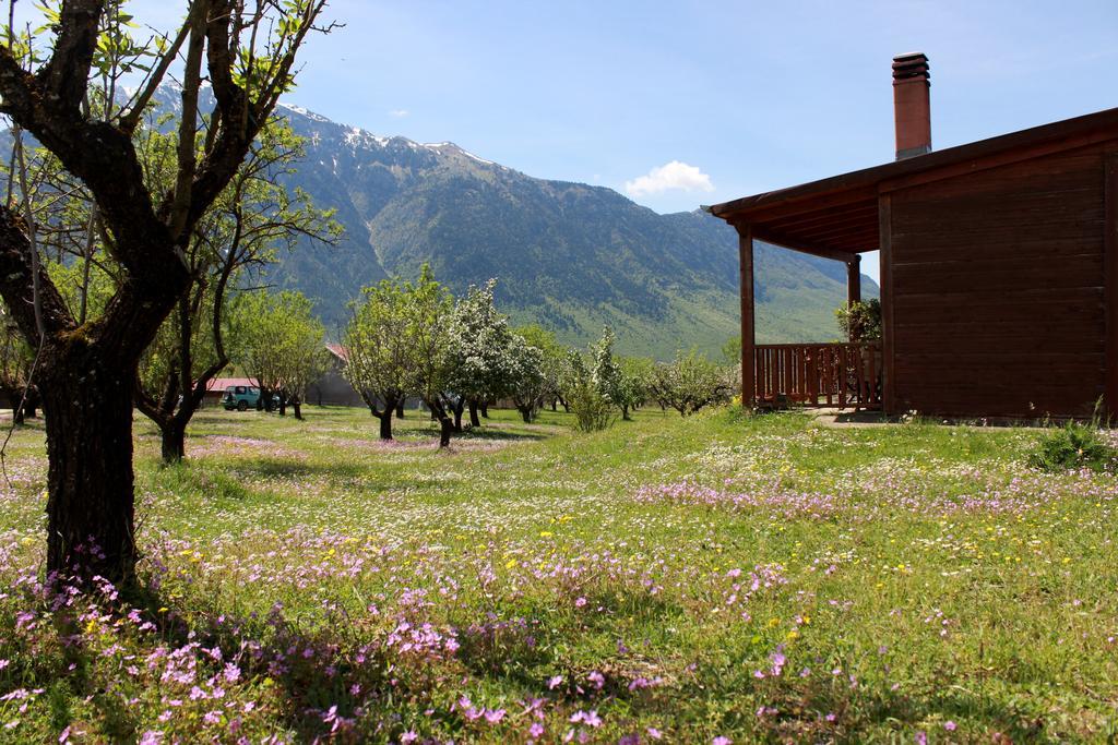 Villa Rustica Konitsa Ngoại thất bức ảnh