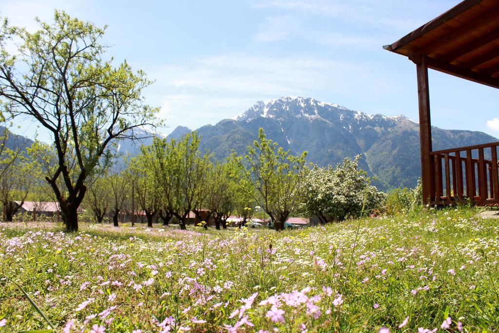 Villa Rustica Konitsa Ngoại thất bức ảnh