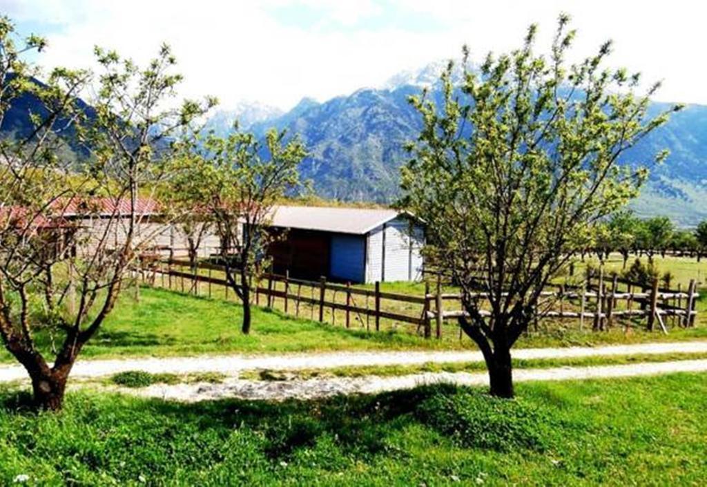 Villa Rustica Konitsa Ngoại thất bức ảnh