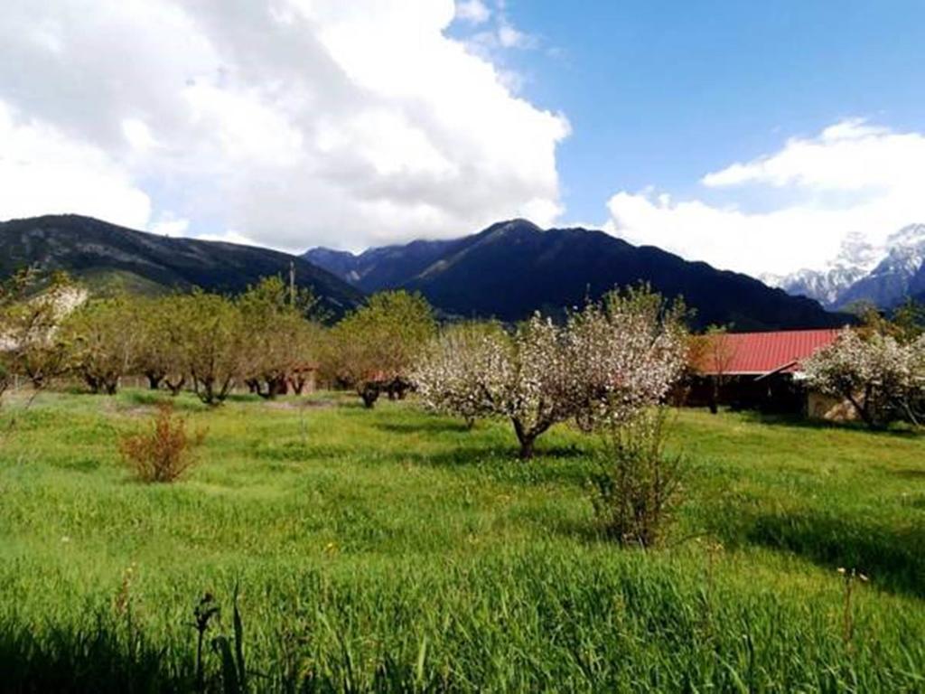 Villa Rustica Konitsa Ngoại thất bức ảnh