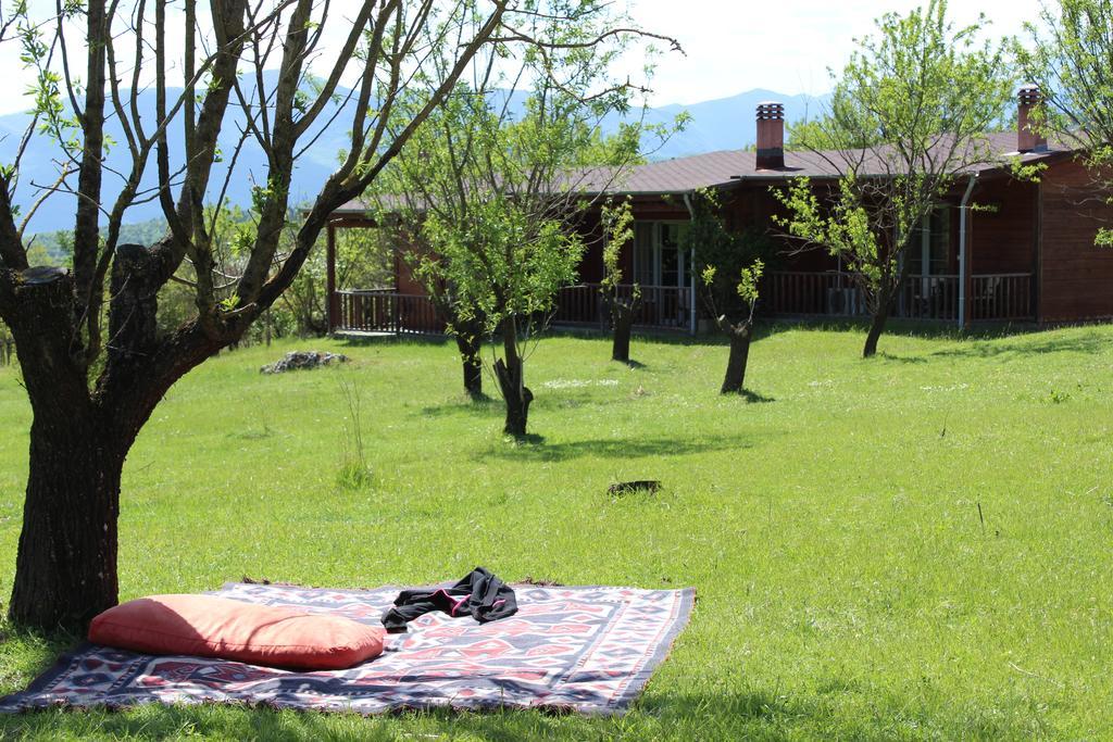 Villa Rustica Konitsa Ngoại thất bức ảnh